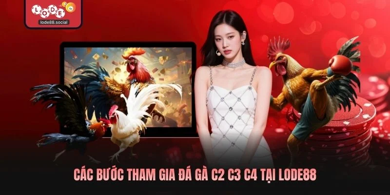 Các bước tham gia Đá gà c2 c3 c4 tại LODE88