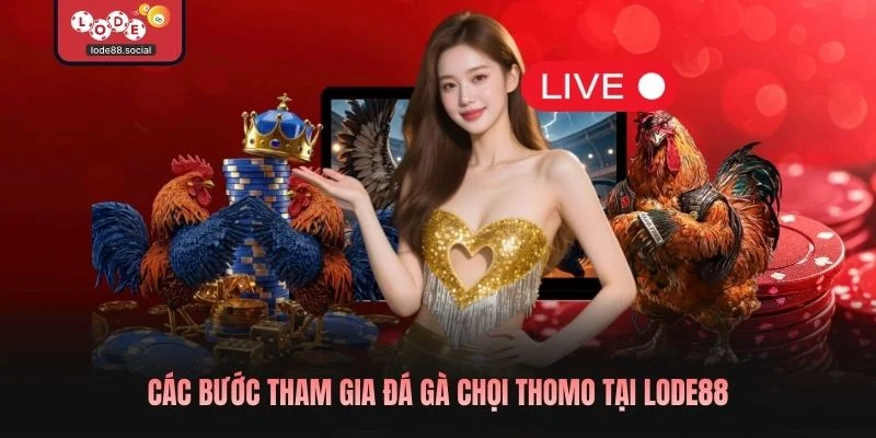 Các bước tham gia Đá gà chọi thomo tại LODE88