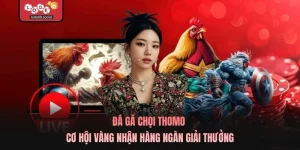 Đá Gà Chọi Thomo