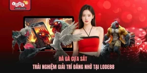 Đá Gà Cựa Sắt