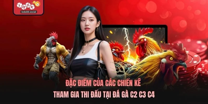 Đặc điểm của các chiến kê tham gia thi đấu tại Đá gà c2 c3 c4