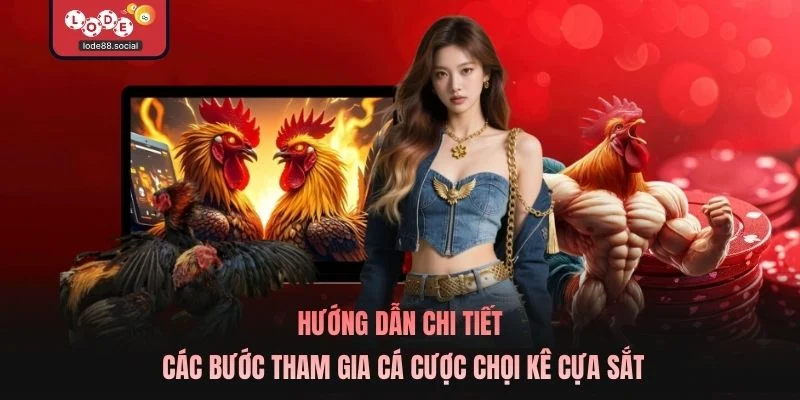 Hướng dẫn chi tiết các bước tham gia cá cược chọi kê cựa sắt