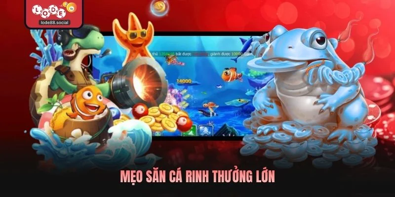 Mẹo săn cá rinh thưởng lớn