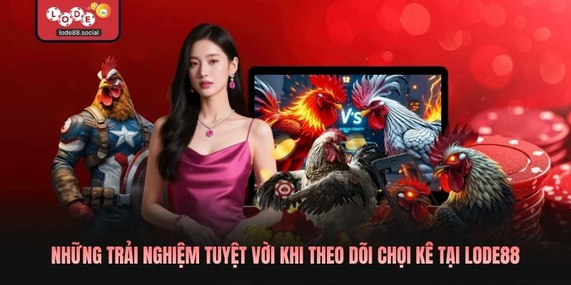 Những trải nghiệm tuyệt vời khi theo dõi chọi kê tại LODE88