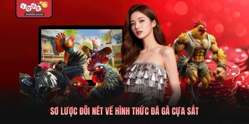 Sơ lược đôi nét về hình thức đá gà cựa sắt